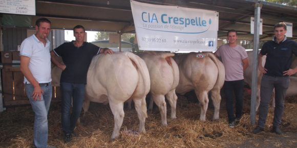 Festivals de la viande d’Evron 2018