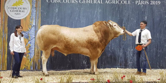 Junior fils de Guernica Salon de l’agriculture 2019